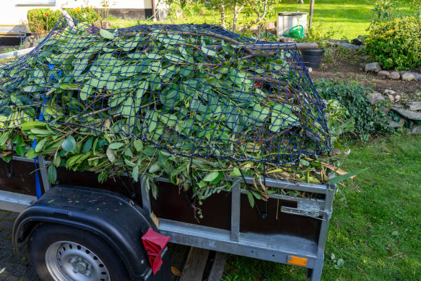 New Port Richey, FL Junk Removal Services Pros